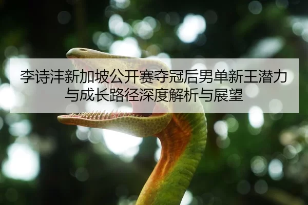 李诗沣新加坡公开赛夺冠后男单新王潜力与成长路径深度解析与展望