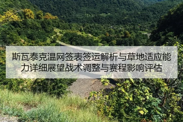 si-wa-tai-ke-wen-wang-qian-biao-qian-yun-jie-xi-yu-cao-di-shi-ying-neng-li-xiang-xi-zhan-wang-zhan-shu-tiao-zheng-yu-2-211.jpg