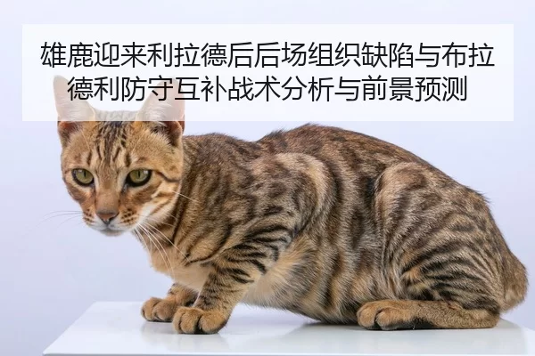 xiong-lu-ying-lai-li-la-de-hou-hou-chang-zu-zhi-que-xian-yu-bu-la-de-li-fang-shou-hu-bu-zhan-shu-fen-xi-yu-qian-jing-yu-2-127.jpg